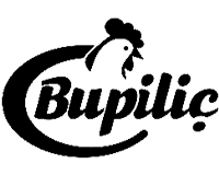 ZSM Federal Referans Görseli