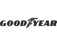 ZSM GoodYear Referans Görseli